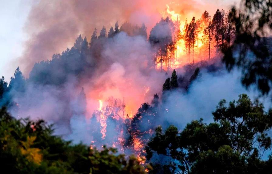 Los incendios arrasan miles de hectáreas en España durante el fin de semana