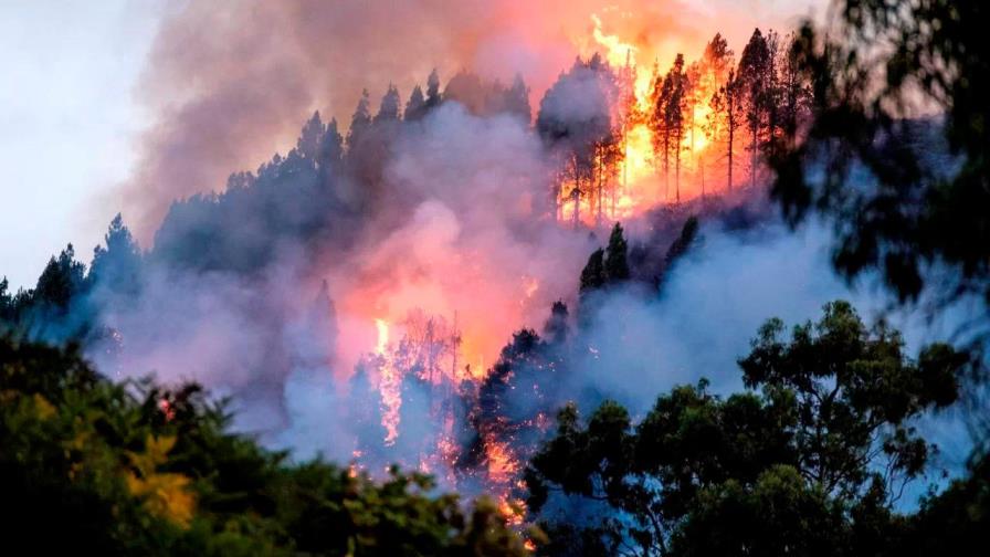 Los incendios arrasan miles de hectáreas en España durante el fin de semana