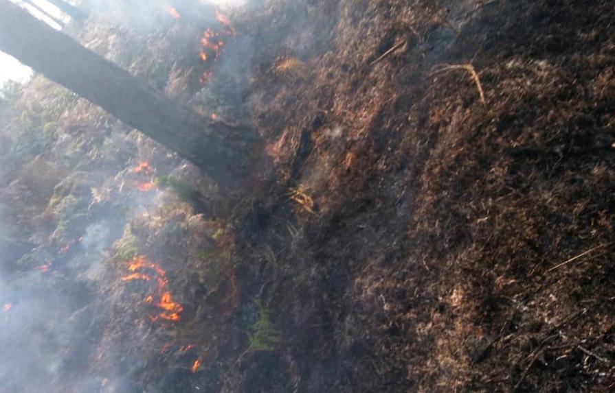 Ministro de Medio Ambiente asegura está controlado fuego en sierra Bahoruco