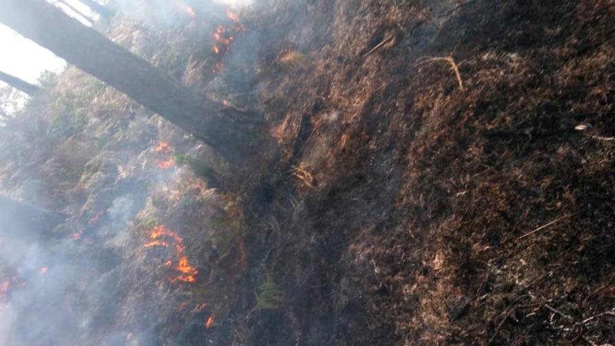 Ministro de Medio Ambiente asegura está controlado fuego en sierra Bahoruco