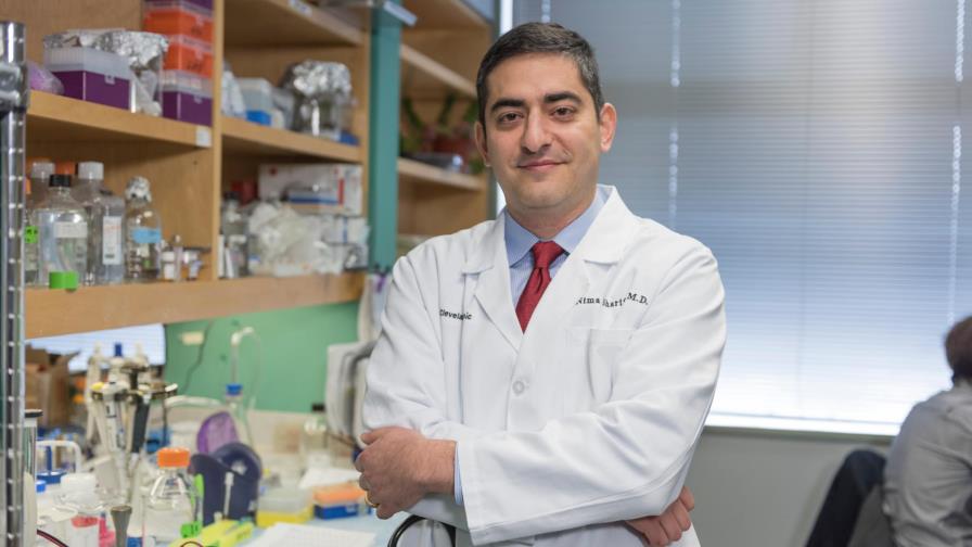 Estudio relaciona por primera vez el microbioma intestinal y el cáncer de próstata agresivo Estudio relaciona por primera vez el microbioma intestinal y el cáncer de próstata agresivo