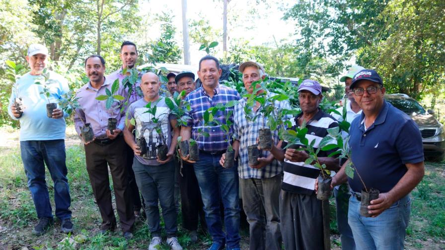 Desarrollo Fronterizo entrega 25 mil plantas de café a caficultores de Loma de Solimán, Montecristi Desarrollo Fronterizo entrega 25 mil plantas de café a caficultores de Loma de Solimán, Montecristi