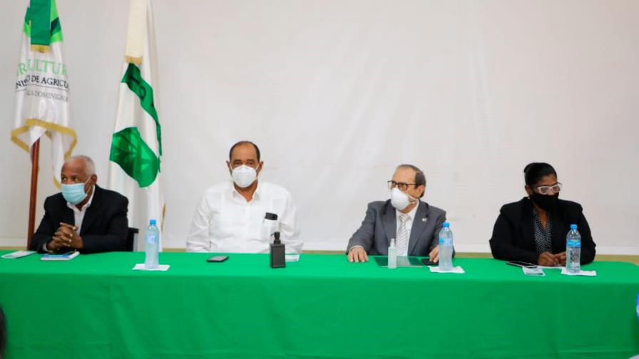 Se inicia segunda etapa del proyecto de apoyo a la industria del coco en el Caribe Se inicia segunda etapa del proyecto de apoyo a la industria del coco en el Caribe