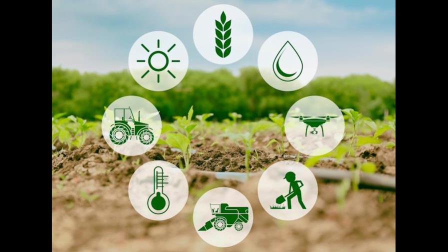 Representante comercial de Chile resalta importancia del sector silvoagropecuario Representante comercial de Chile resalta importancia del sector silvoagropecuario