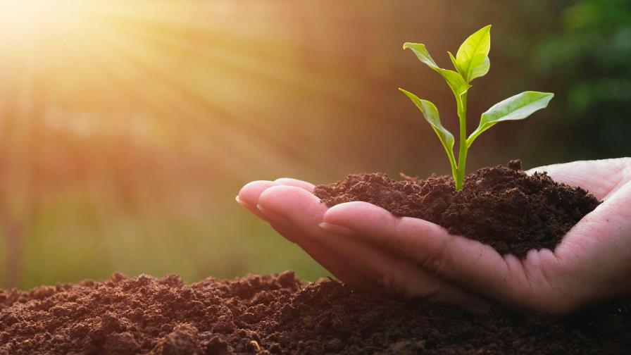 FAO: el mundo está lejos de cumplir objetivos de alimentación sostenible