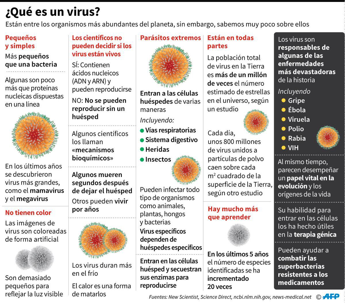 Infografía