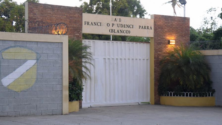 Agresiones y peleas en las escuelas, eco de la violencia social y familiar 