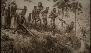 "La semilla trasplantada", un cuento de Pedro Corporán