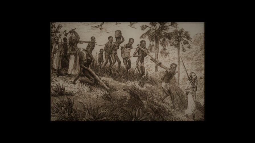 “La semilla trasplantada”, un cuento de Pedro Corporán “La semilla trasplantada”, un cuento de Pedro Corporán