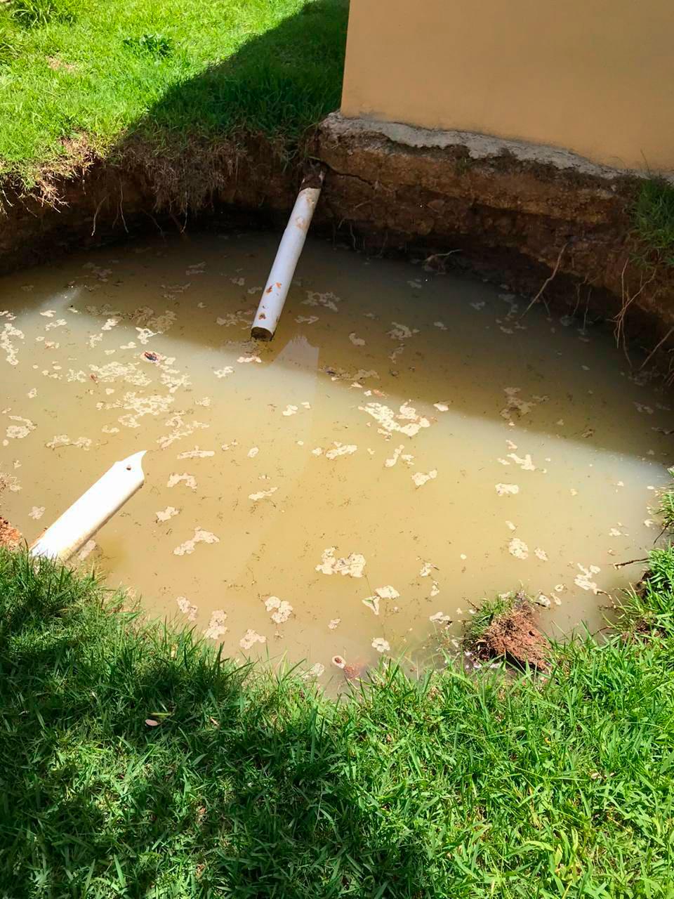 Además de los planteles, las ráfagas de vientos y lluvias de la tormenta Laura causaron grandes daños a la agropecuaria. 