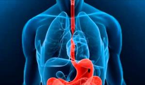 ¿Cómo podemos mejorar el reflujo gastroesofágico?