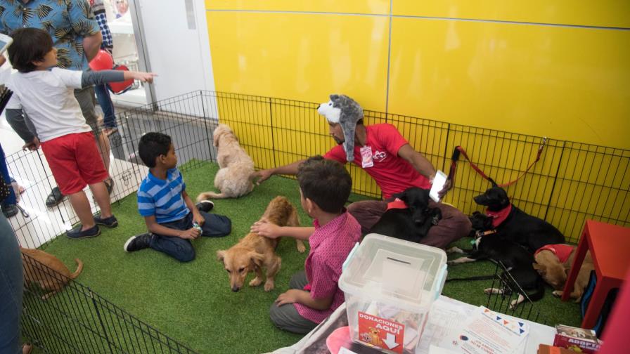 Adoptar un perro es un gesto de amor más que de valor Adoptar un perro es un gesto de amor más que de valor