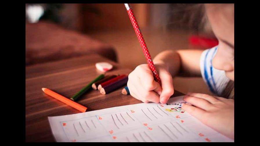 Preocupaciones de los padres frente a año escolar virtual 