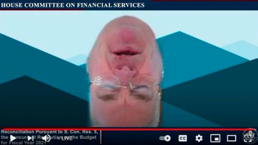 ¿Recuerdas al abogado gato? Ahora es el congresista de cabeza