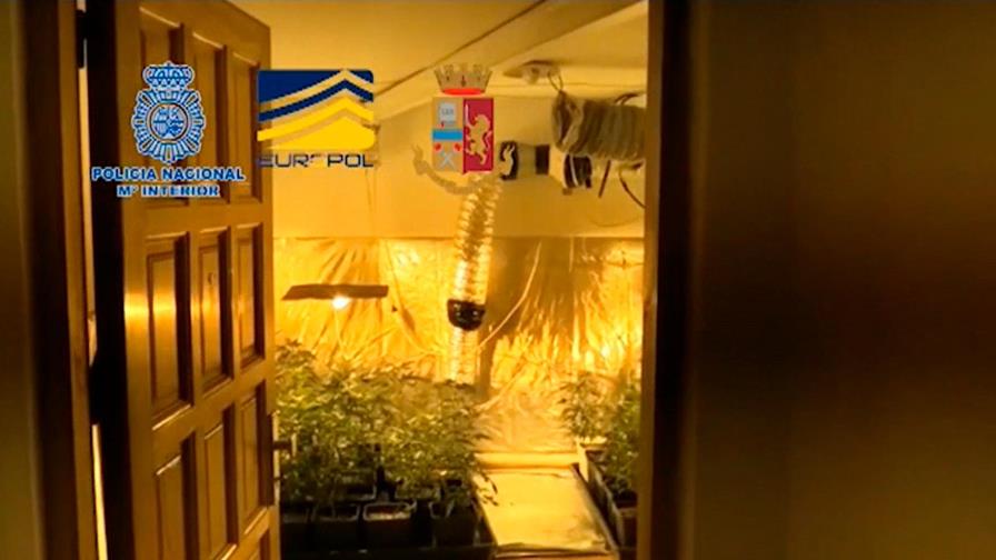 Más de cien detenidos en España en una operación contra la mafia italiana