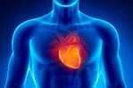 ¿Por qué debo hacerme una evaluación cardiovascular antes de un procedimiento? ¿Por qué debo hacerme una evaluación cardiovascular antes de un procedimiento?