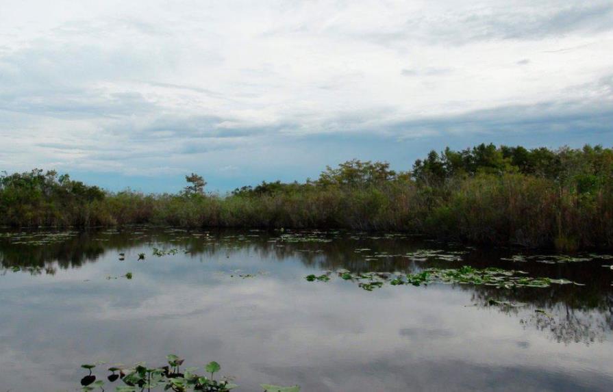 Restauración de una gran reserva natural del sur de Florida está más cerca