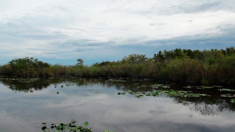 Restauración de una gran reserva natural del sur de Florida está más cerca