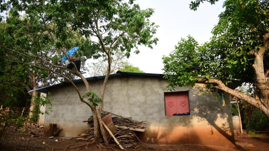 Joven salvadureño que estudiaba encima de un árbol es sorprendido por el presidente Bukele