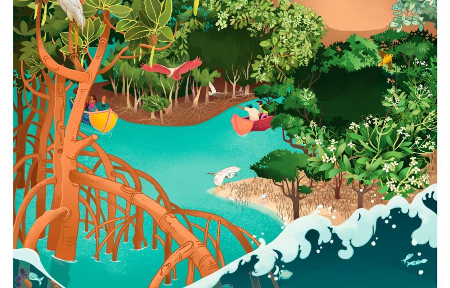 Exposición virtual resalta el turismo y biodiversidad Costero-Marina de República Dominicana