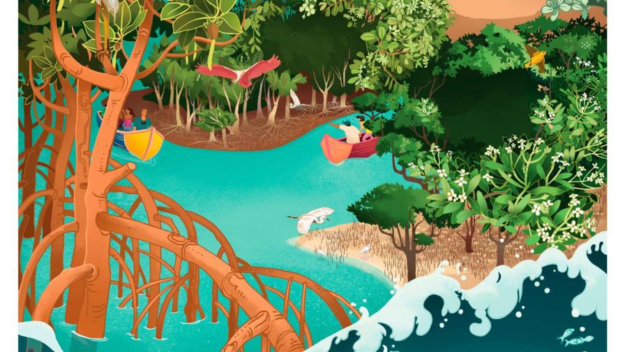 Exposición virtual resalta el turismo y biodiversidad Costero-Marina de República Dominicana