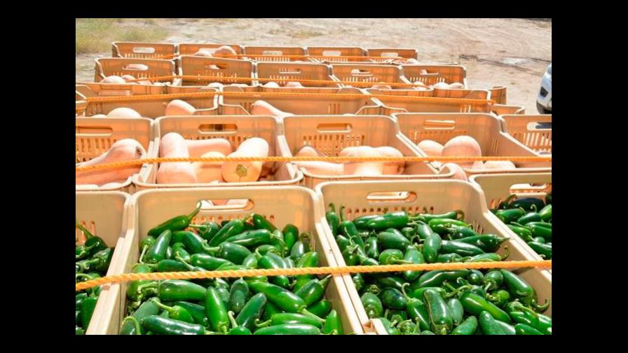 El Gobierno de los Estados Unidos presenta resultados del programa Exporta Calidad 