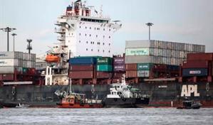 CEI-RD exhorta a exportadores ponerse en contacto si presentan alguna dificultad en el proceso