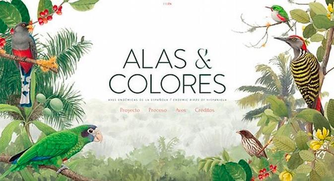 Aves de La Española volarán a través de la exposición Alas & Colores