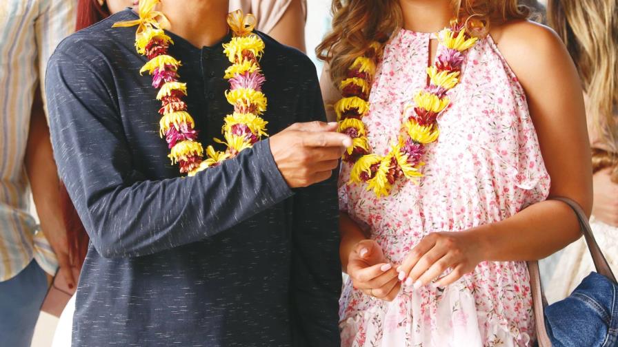 “Los Leones” con más humor “Los Leones” con más humor