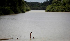 Ind&iacute;genas son claves para proteger biomasa amaz&oacute;nica contra cambio clim&aacute;tico