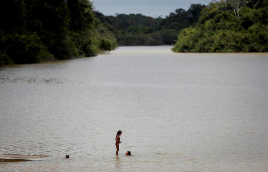 Indígenas son claves para proteger biomasa amazónica contra cambio climático