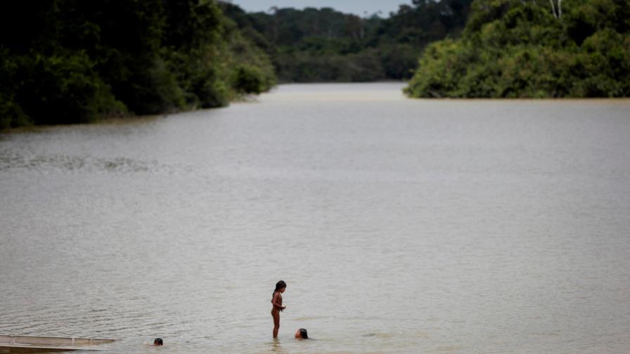 Indígenas son claves para proteger biomasa amazónica contra cambio climático Indígenas son claves para proteger biomasa amazónica contra cambio climático