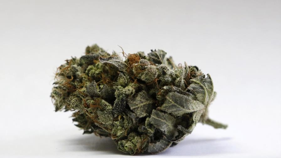 Maine podría comenzar venta legal de marihuana en 2020