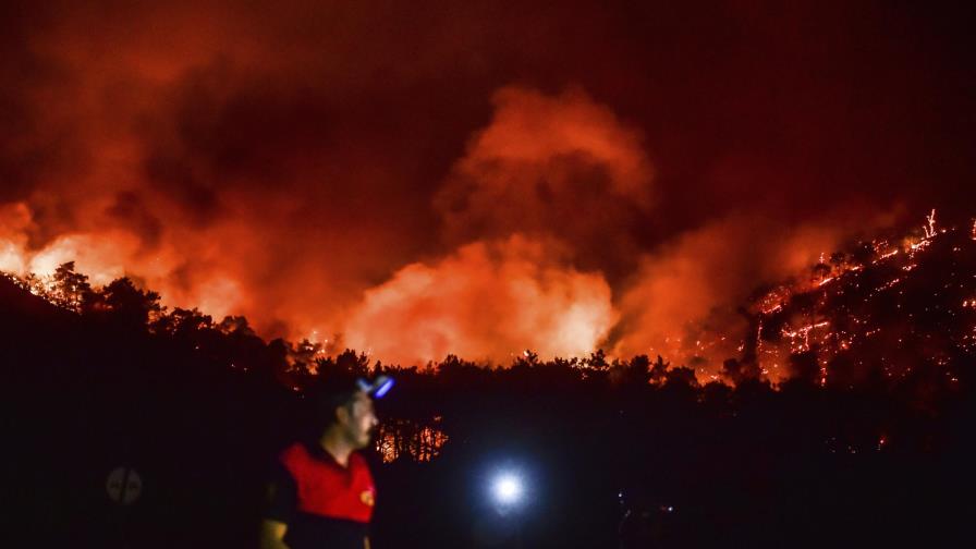 Críticas a Erdogan por incendios forestales en Turquía