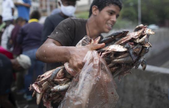 Venezuela: con sardinas, la oposición busca atraer votantes