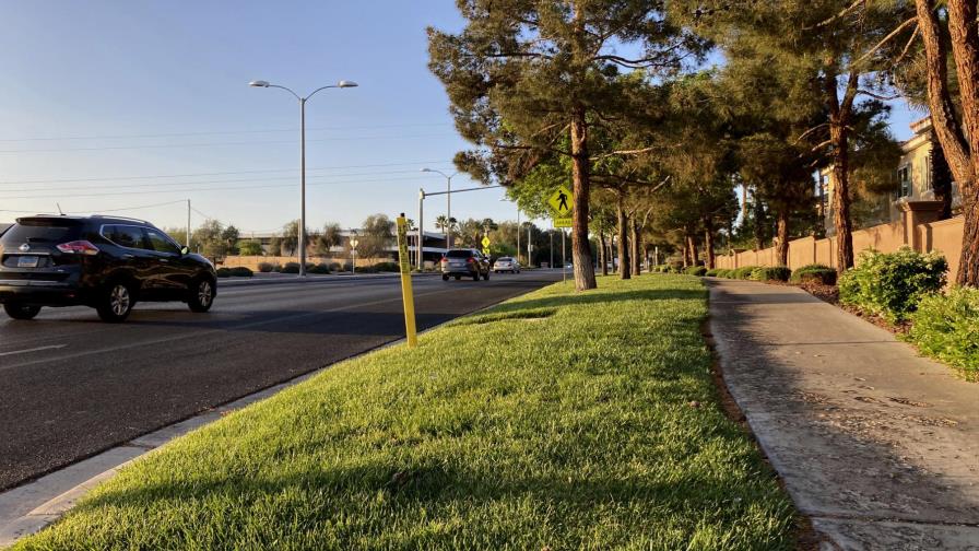 Proponen reducir el césped para ahorrar agua en Las Vegas