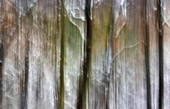 Masa de aire frío bate récords en noreste de EEUU Masa de aire frío bate récords en noreste de EEUU