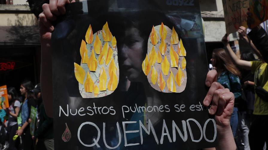 Lluvia sofoca prolongado incendio forestal en Bolivia