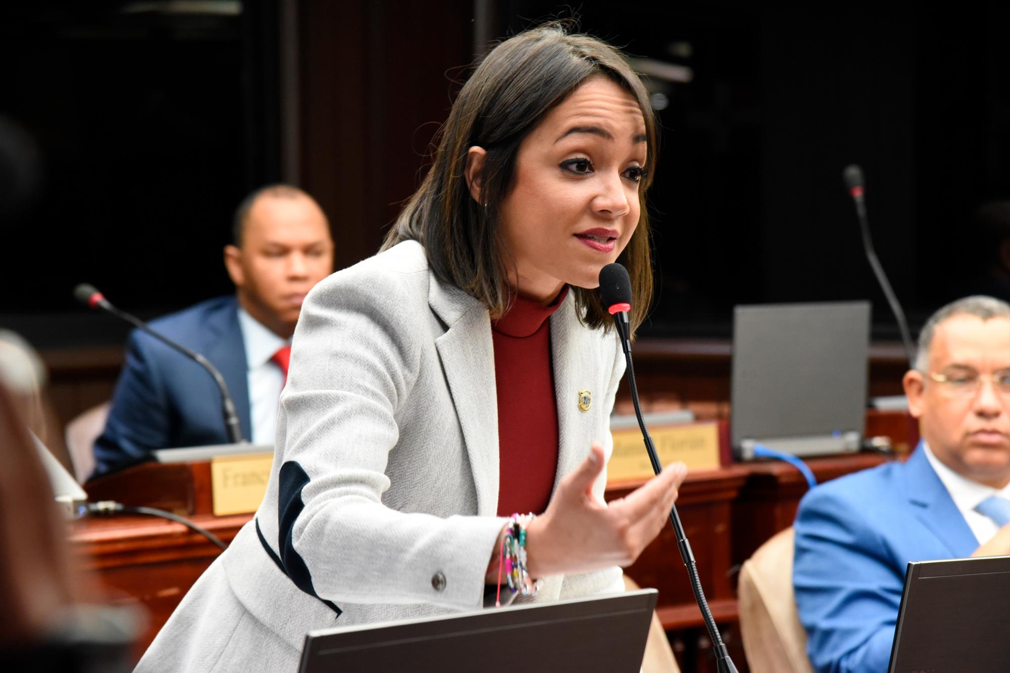 La diputada del PRM, Faride Raful, busca la senaduría por el Distrito Nacional.