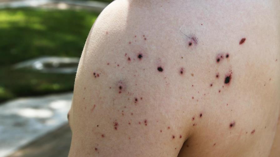 2019 fue el año con más matanzas en historia moderna de EEUU