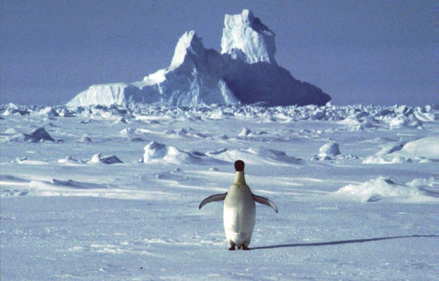 ONU: Se deben verificar altas temperaturas en la Antártida
