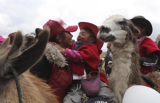 Ecuador: Una competencia de niños y llamas en los Andes Ecuador: Una competencia de niños y llamas en los Andes