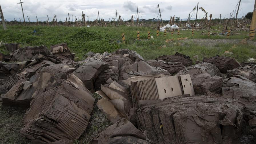 FAO: urge fondos para ayudar a Centroamérica tras huracanes