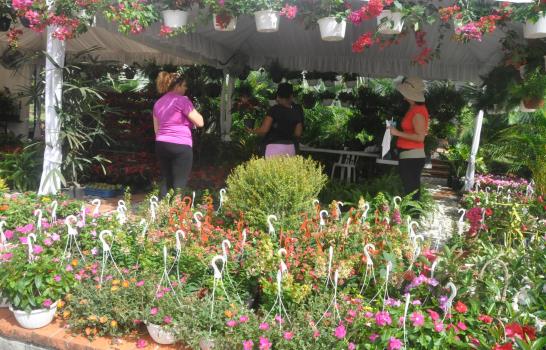 Jardín Botánico realizará su XV Festival Nacional de Plantas y Flores