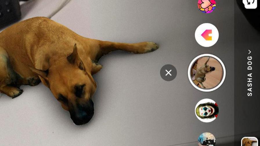 Sasha dog: el nuevo filtro de Instagram que se ha vuelto viral 