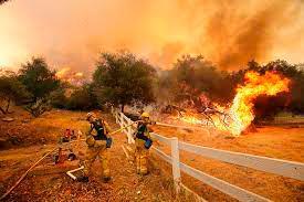 Los bomberos logran grandes avances en el gigantesco incendio de California