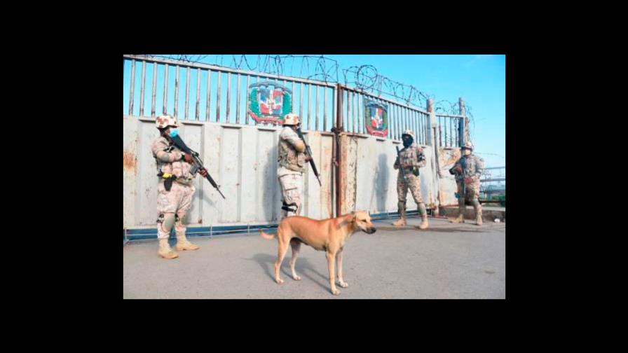 Imagen de perro “Firulais” tomada por fotógrafo de Diario Libre se hace viral en las redes