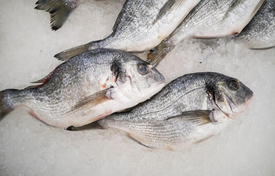 Desarticulan organización que buscaba enviar droga en pescado congelado