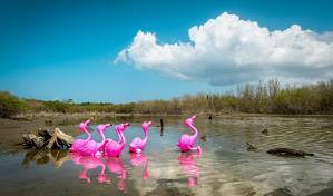 “La era Plasteozoica: una eco-distopía animada”; exposición virtual del colectivo Pictoria Newhouse