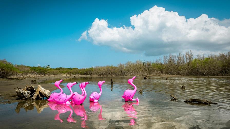 “La era Plasteozoica: una eco-distopía animada”; exposición virtual del colectivo Pictoria Newhouse